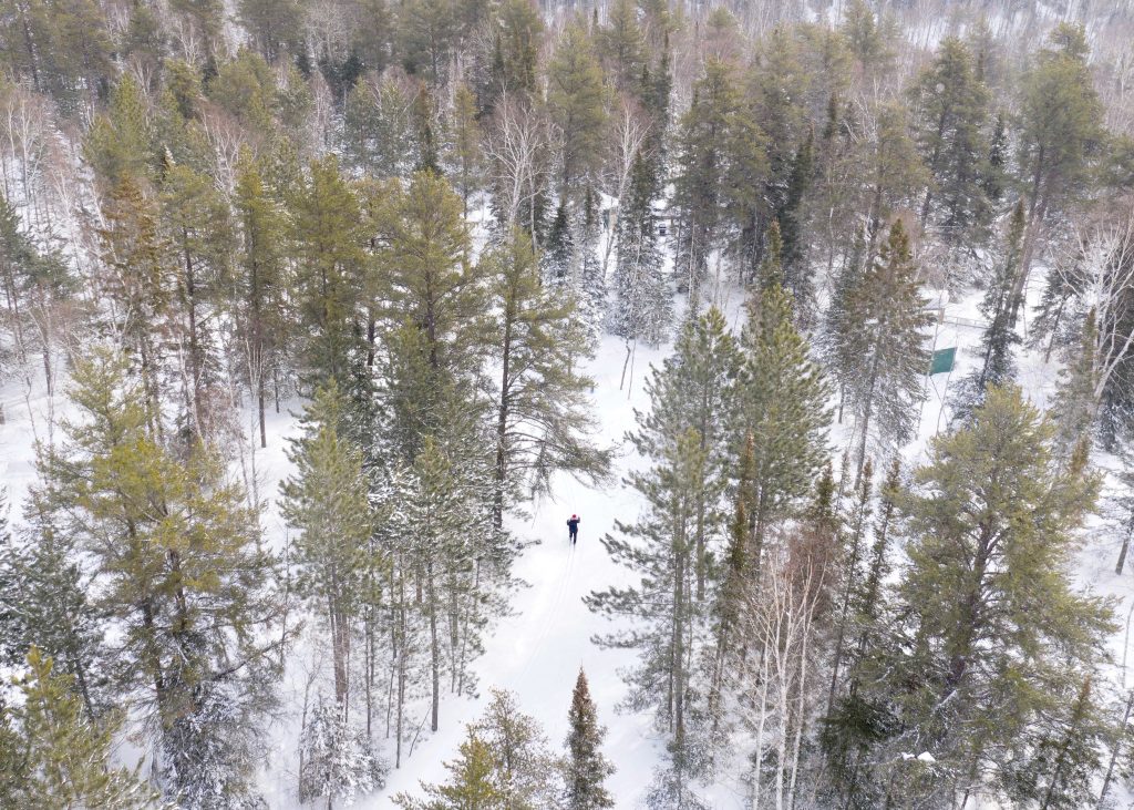 Cross-country ski trails at Windy Lake Provincial Park