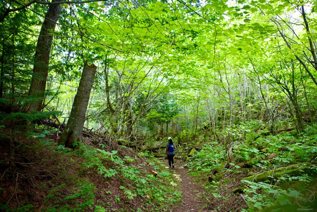 Hiking Sleeping Giant Provincial Park