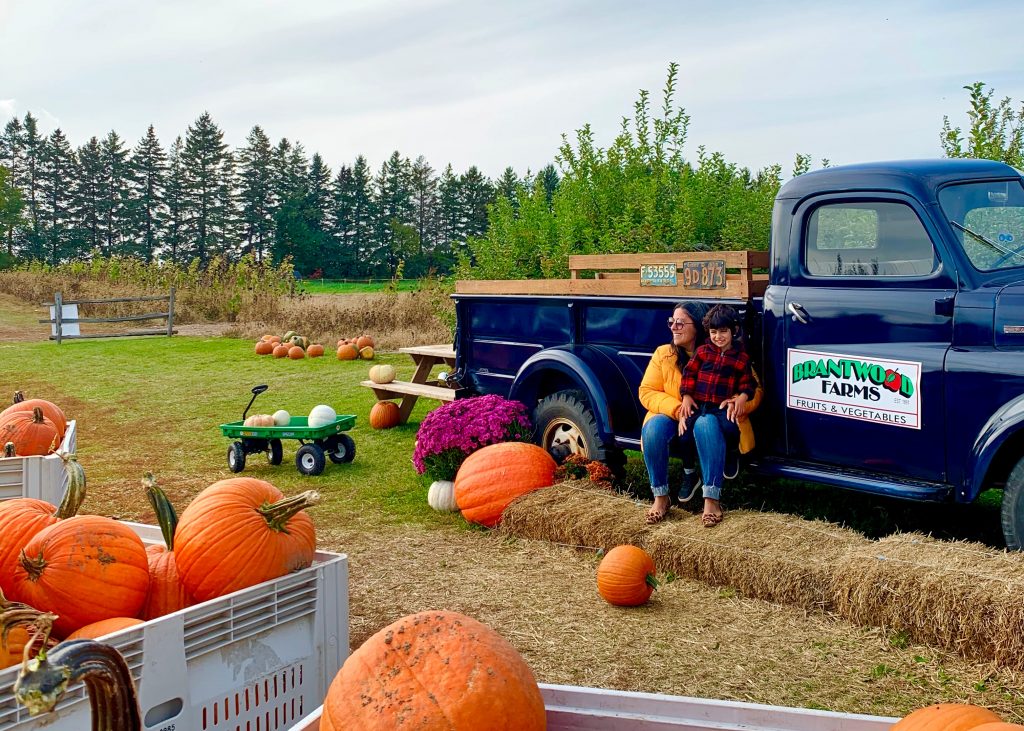Brantwood Farm Pumpkins with a Toddler