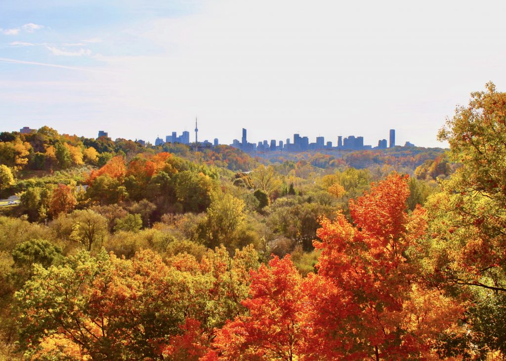 11 Best Places To Take In Fall Colours In The GTA - The Curious Creature