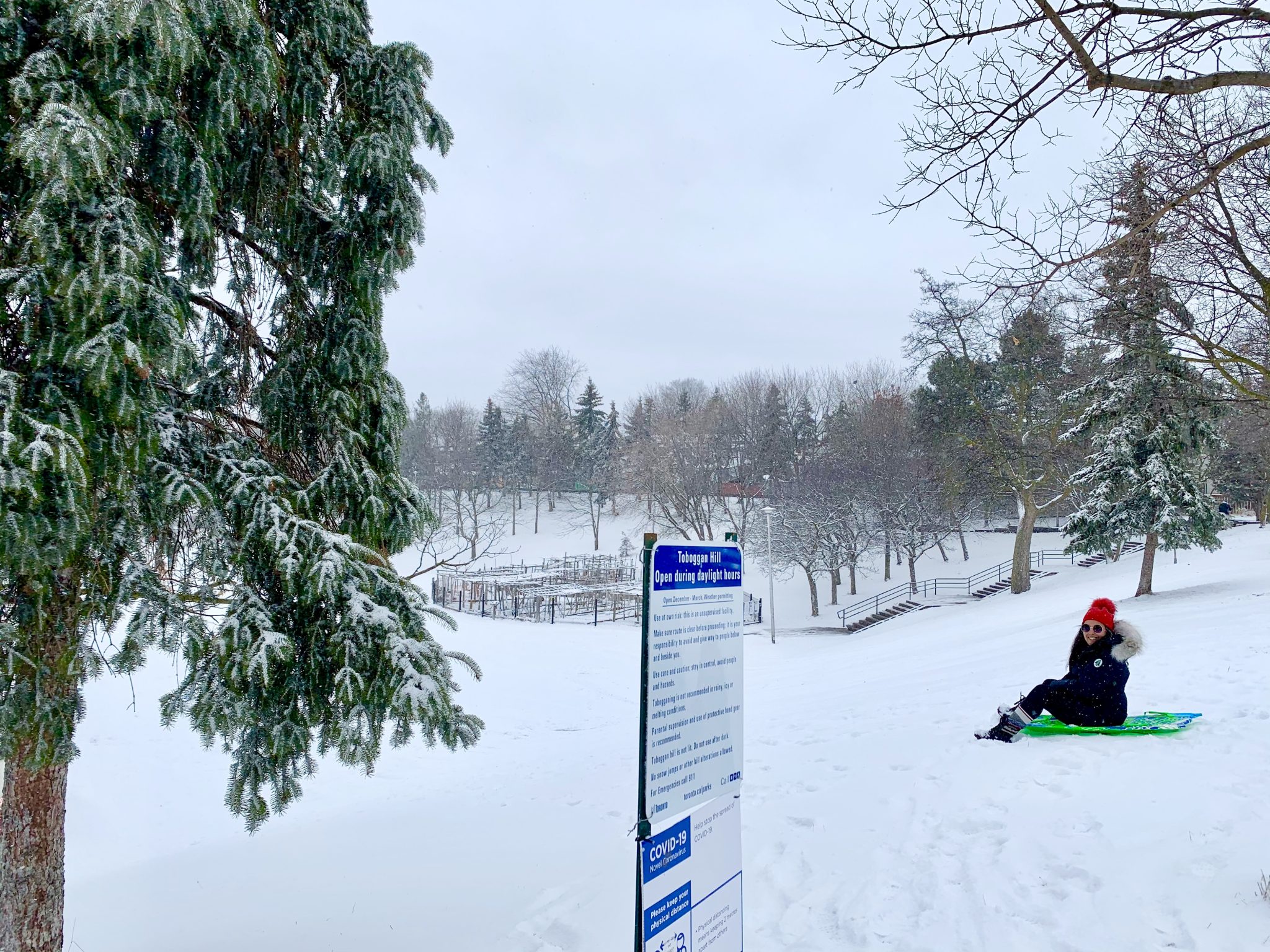 Best Hills For Tobogganing In Toronto The Curious Creature