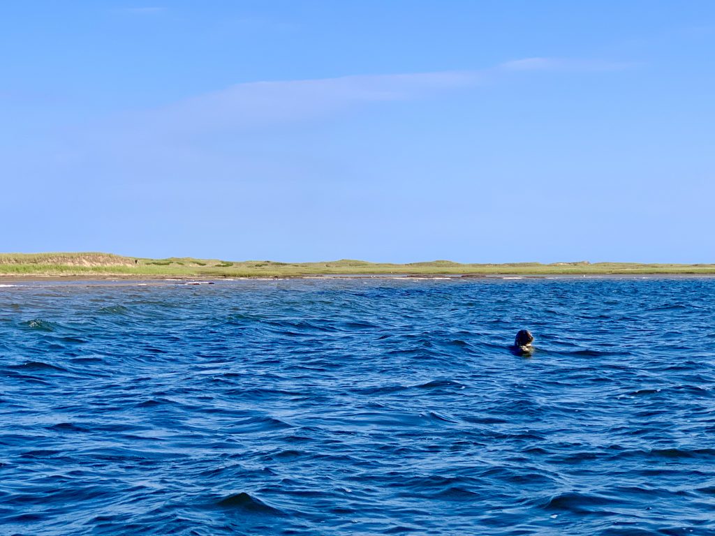 Excursion en Mer 