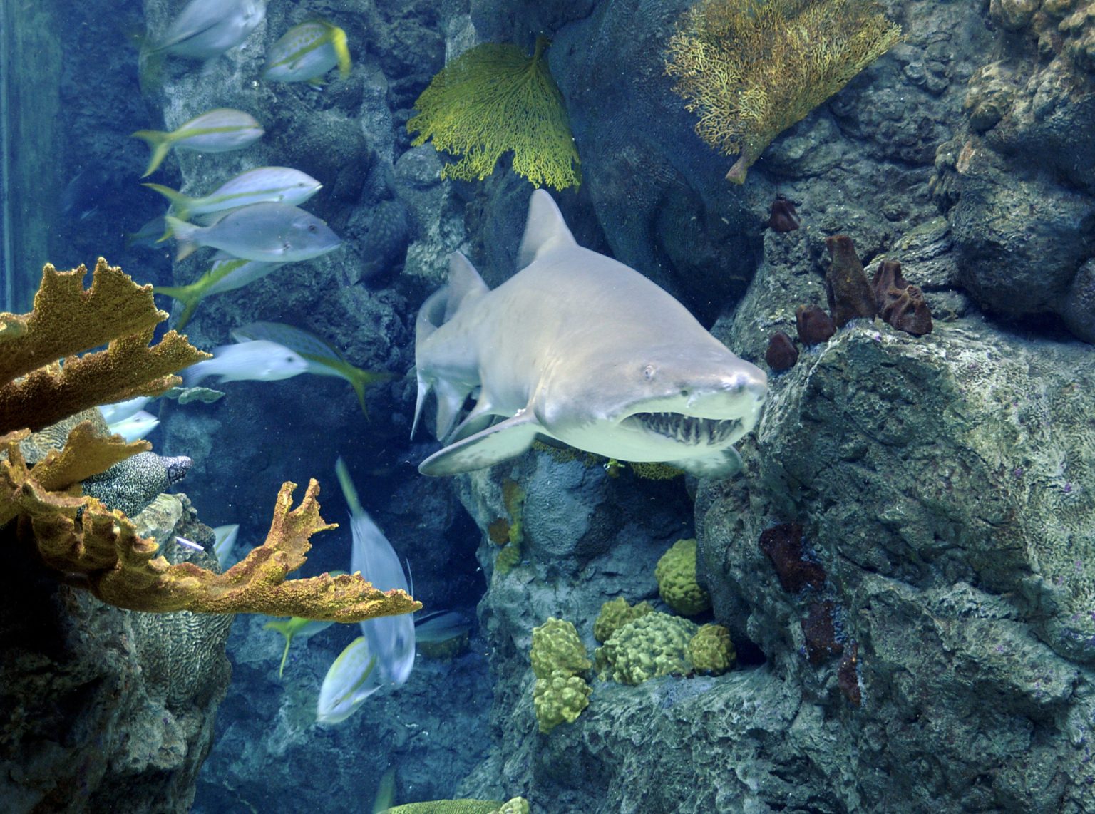 Tampa Bay Girls' Getaway - The Curious Creature