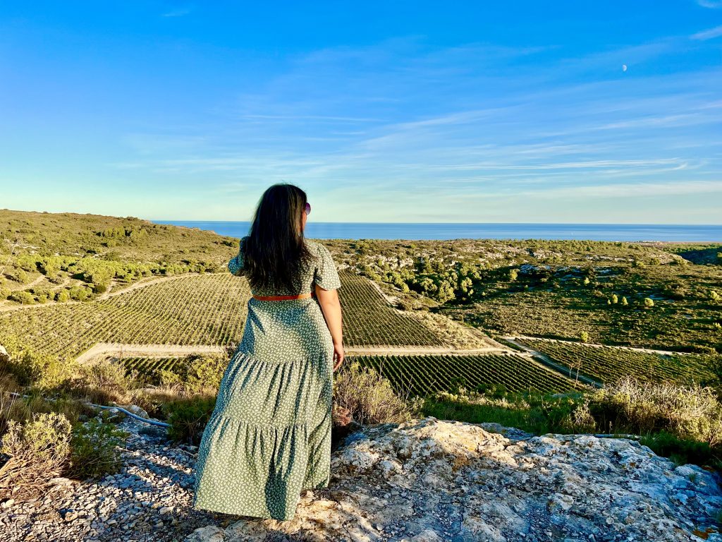 Château l'Hospitalet Vineyards